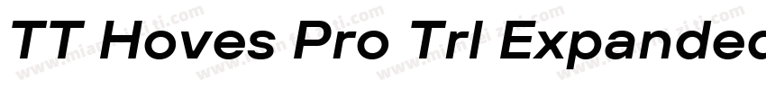 TT Hoves Pro Trl Expanded Bold字体转换